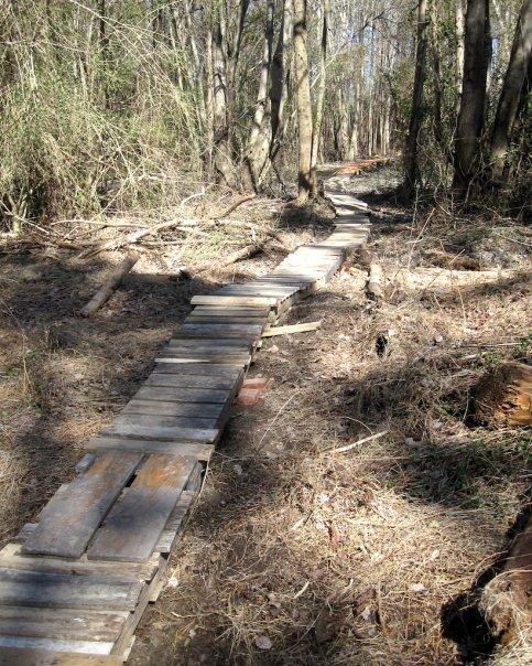 A narrow wooden path made of planks winding through a forested area, surrounded by trees and underbrush, with scattered logs and dried leaves on the ground. Bicycle Post Trails mountain bike trail.
