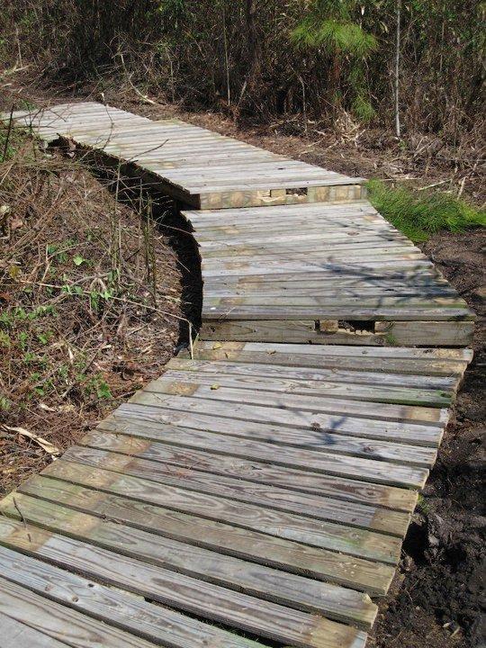 Alt text: A winding wooden boardwalk traverses a natural path surrounded by vegetation and trees. The boardwalk has visible gaps and uneven planks, leading into the greenery. Bicycle Post Trails mountain bike trail.