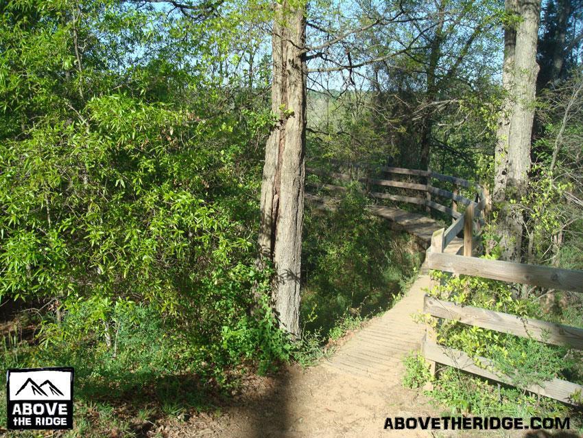A scenic forest pathway winding through lush greenery, with a wooden railing along the side. The trail curves gently, inviting exploration in a peaceful natural setting. Sunlight filters through the trees, creating a serene atmosphere. Belle Isle mountain bike trail.