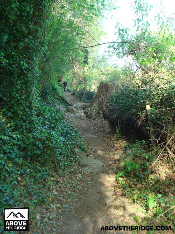 A winding dirt path through a lush green forest, surrounded by trees and ivy. In the distance, a person is partially visible walking along the trail. The scene is bright and natural, showcasing a peaceful hiking environment. Buttermilk mountain bike trail.