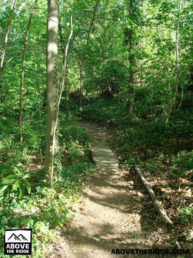 A wooded trail winding through a lush green forest, with sunlight filtering through the trees. The path features a smooth section made of wooden planks and is bordered by vibrant foliage and fallen leaves. Buttermilk mountain bike trail.