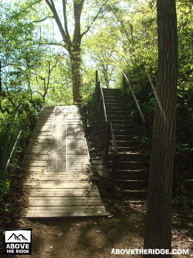 A serene outdoor scene featuring a wooden ramp on the left and a set of stairs on the right, both leading up through a lush green landscape. A large tree towers in the background, with sunlight filtering through the leaves, creating a peaceful atmosphere. The path is flanked by rocks and foliage, inviting exploration. Buttermilk mountain bike trail.