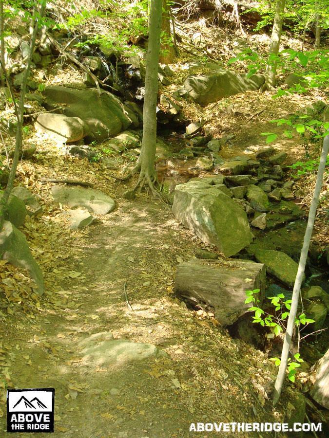 A scenic forest path winding through a wooded area, lined with rocks and fallen leaves, alongside a small stream. Bright green leaves filter sunlight, creating a tranquil atmosphere. Buttermilk mountain bike trail.