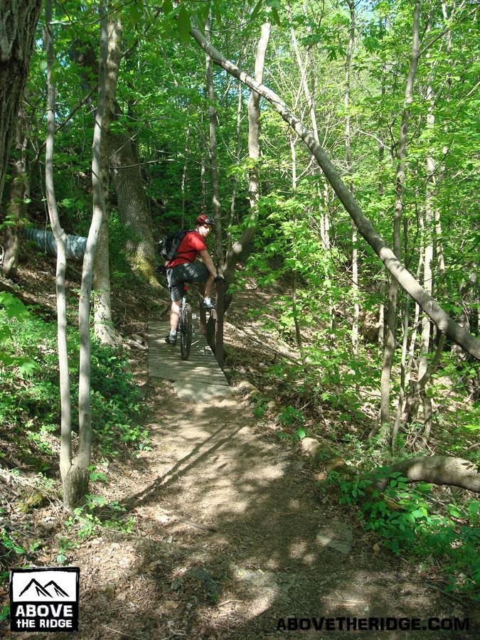 A mountain biker navigates a narrow wooden path through a lush green forest, surrounded by trees and sunlight filtering through the leaves. Buttermilk mountain bike trail.