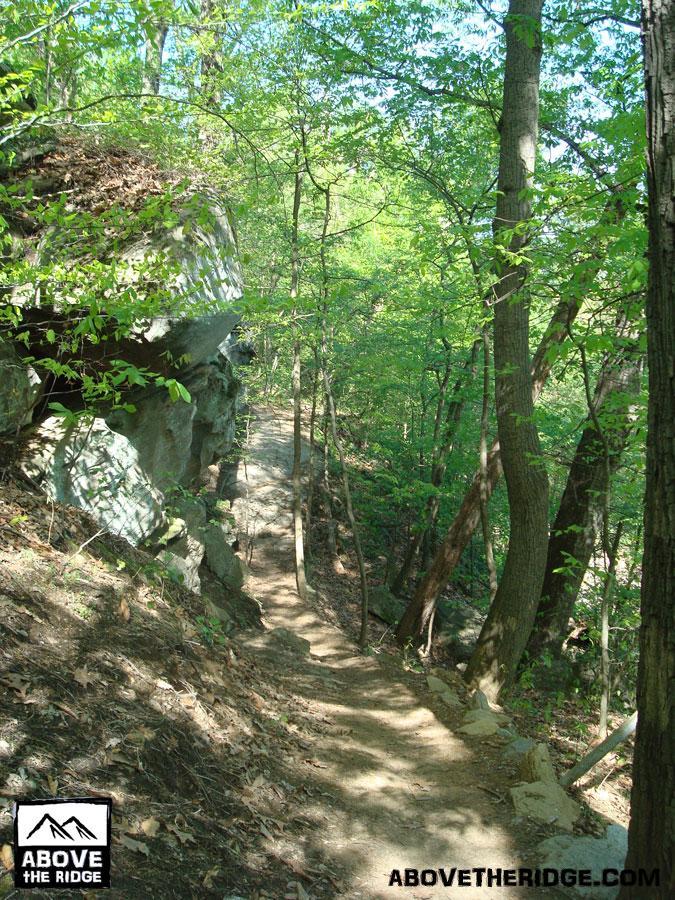 A serene hiking trail winding through a lush forest, bordered by tall trees and large rock formations. The pathway is narrow and dirt-covered, inviting outdoor exploration in a vibrant, green setting. Buttermilk mountain bike trail.