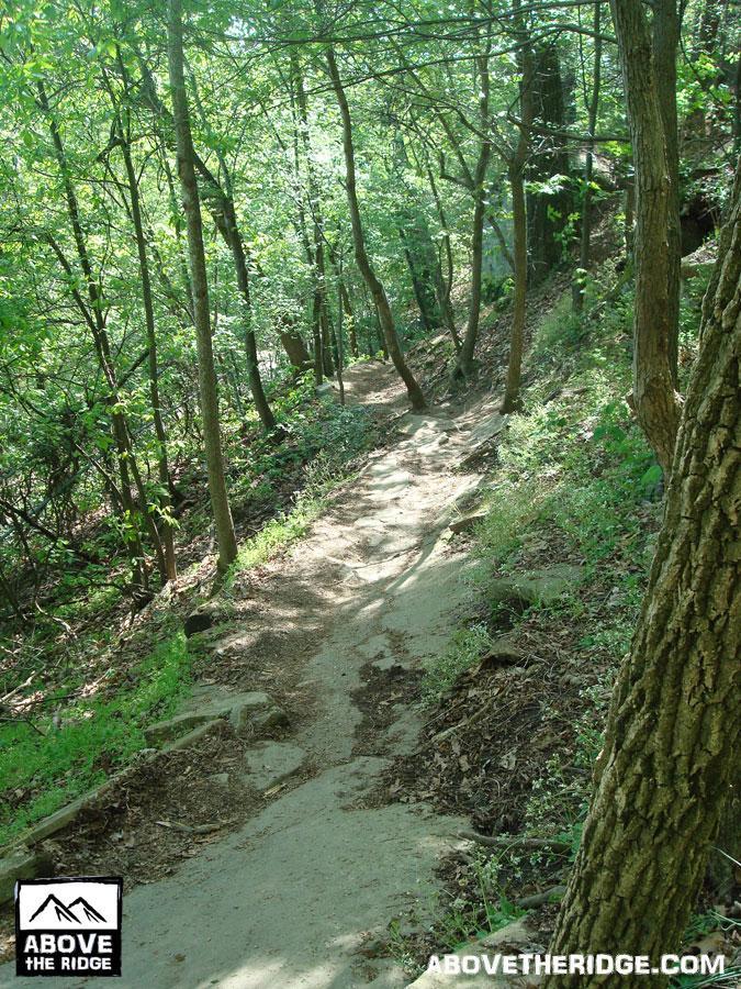 A narrow dirt trail winding through a lush forest, flanked by leafy trees and underbrush, with sunlight filtering through the canopy overhead. A few rocks and fallen leaves are visible along the path, creating a natural, serene atmosphere. Buttermilk mountain bike trail.