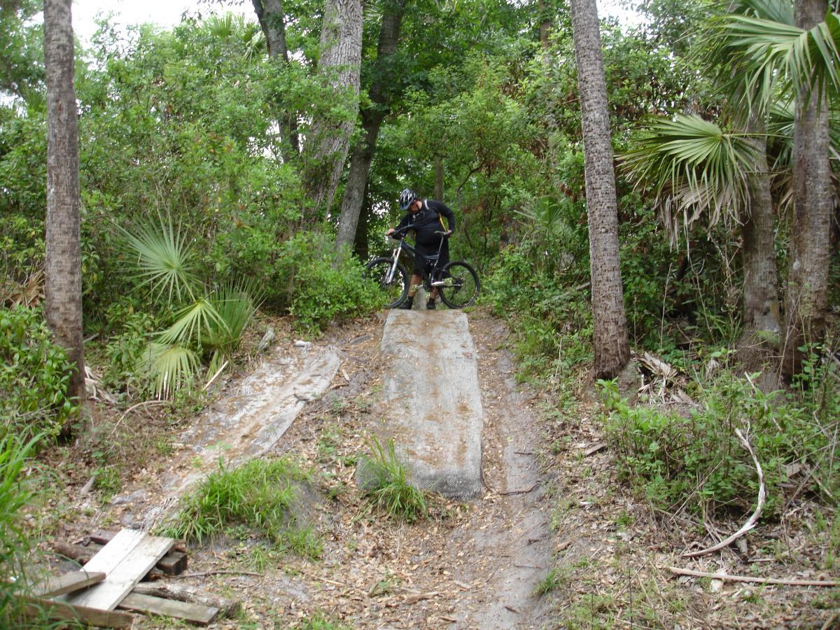 A cyclist positioned on a dirt ramp surrounded by dense greenery in a wooded area, preparing to ride downhill. The ramp is made of compacted dirt and wood, leading into a natural trail lined with trees and tropical plants. Fort Pierce Mountain Bike Trail mountain bike trail.