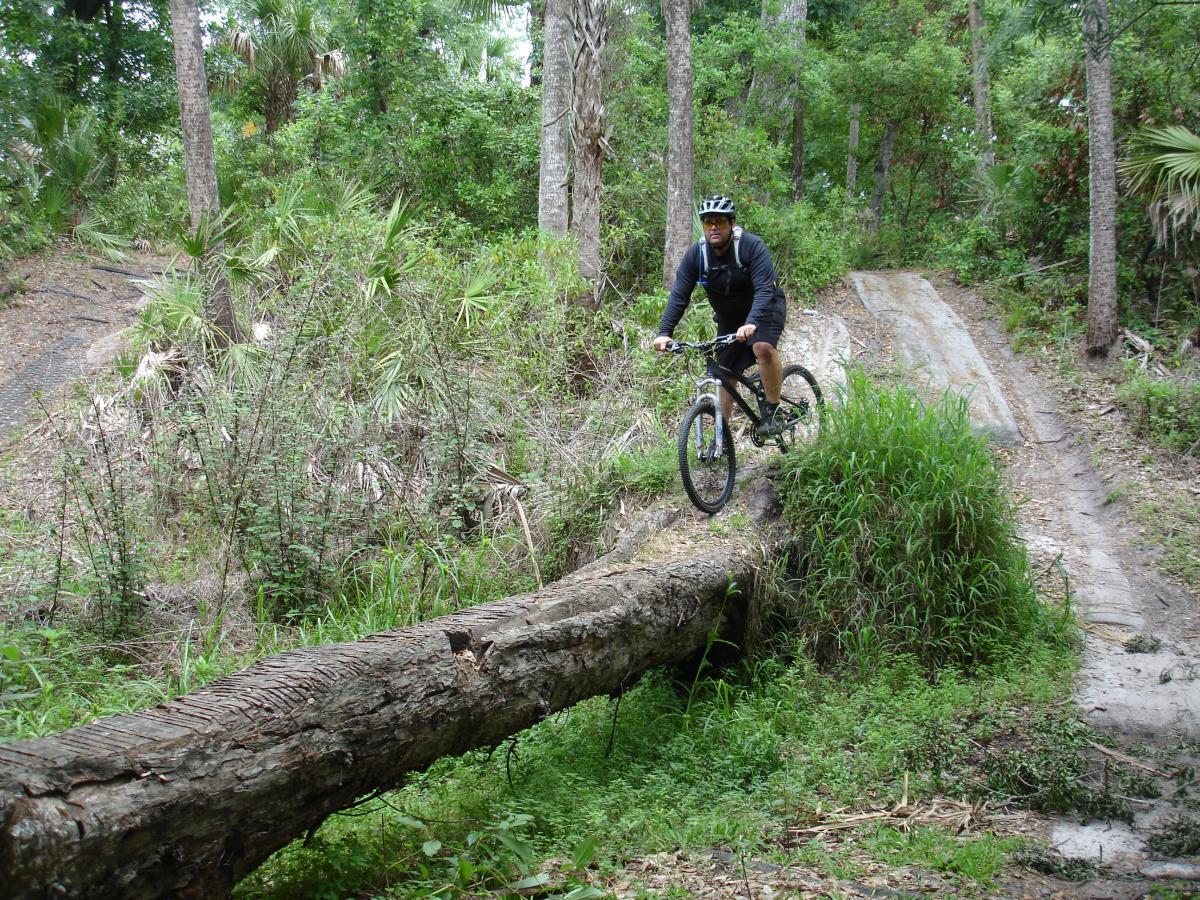 A mountain biker navigates a log bridge over a small ravine in a lush, green forest environment, surrounded by various plants and trees. Fort Pierce Mountain Bike Trail mountain bike trail.