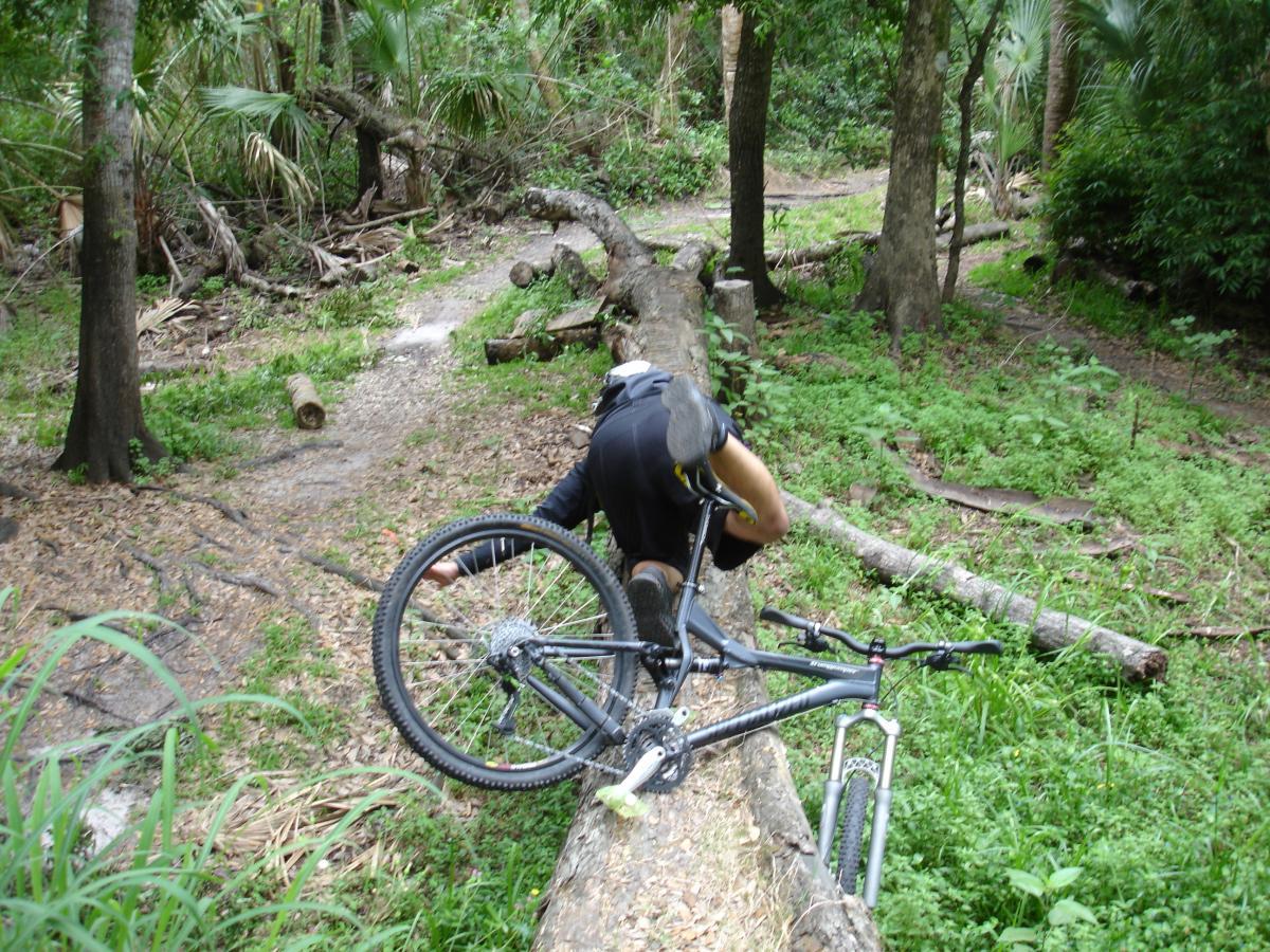 A cyclist in a black outfit is seen midway through a fall while riding over a fallen log in a lush, green forest. The bicycle is positioned sideways on the log, and the surrounding area features dense foliage and fallen branches. Fort Pierce Mountain Bike Trail mountain bike trail.