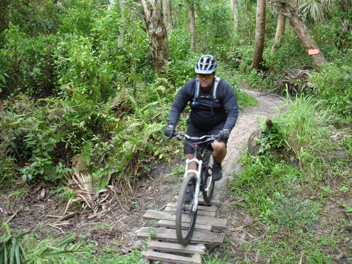 A mountain biker navigating a narrow wooden plank bridge on a dirt trail surrounded by lush green foliage and ferns in a dense forest setting. Fort Pierce Mountain Bike Trail mountain bike trail.