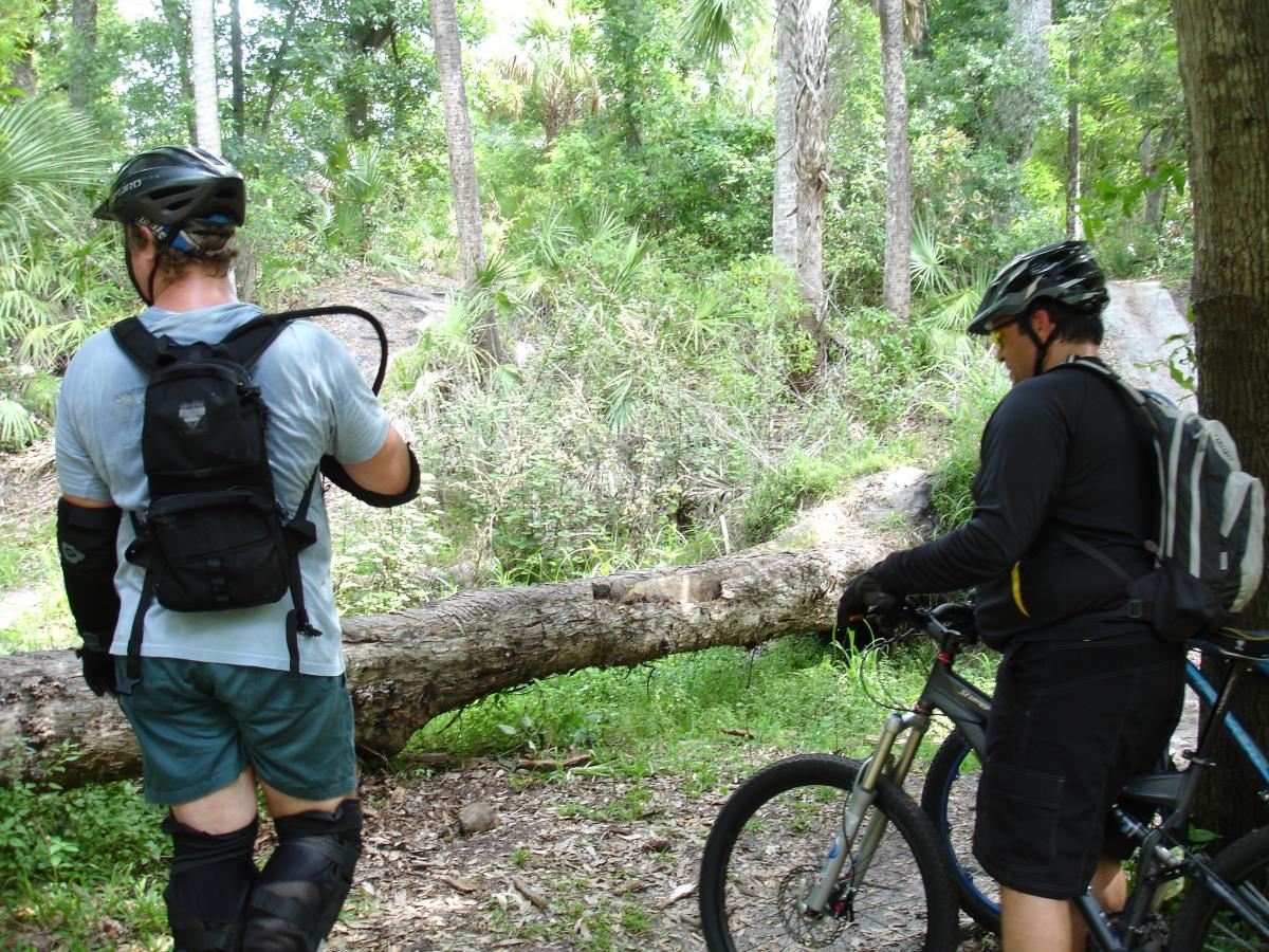 Two mountain bikers in protective gear stand near a fallen log in a lush, green forest. One rider is looking down at the ground, while the other is holding a water hose or connector. The scene is surrounded by tropical foliage, including palm trees and underbrush, indicating a remote biking trail. Fort Pierce Mountain Bike Trail mountain bike trail.