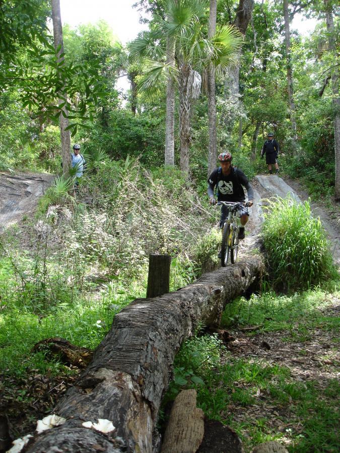 A mountain biker riding over a fallen log on a trail surrounded by dense greenery, with two other cyclists in the background. Sunlight filters through the trees, creating a vibrant outdoor scene. Fort Pierce Mountain Bike Trail mountain bike trail.