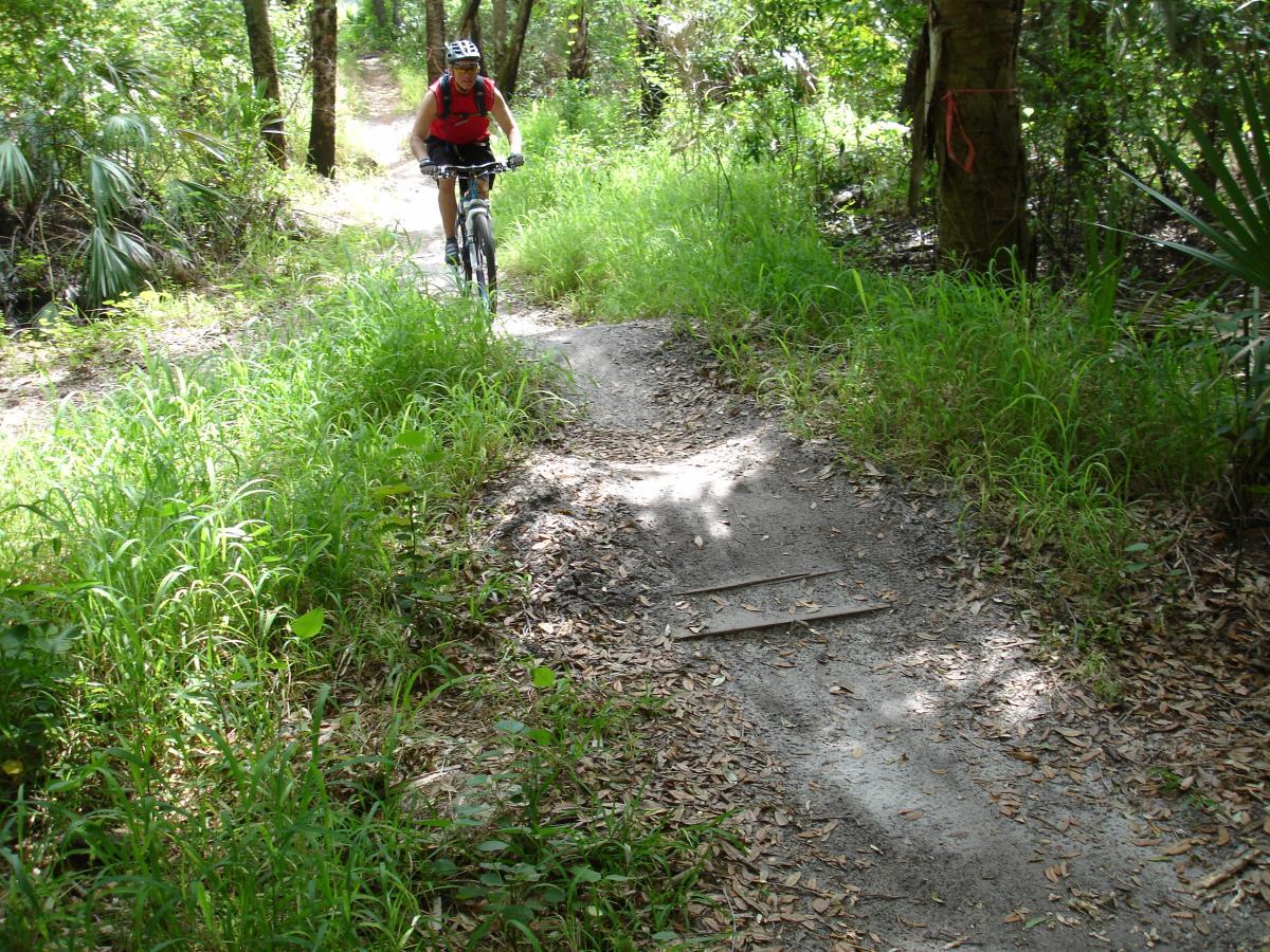 A mountain biker riding along a narrow, dirt trail surrounded by lush greenery and trees. The path is slightly overgrown with grass, and the sunlight filters through the forest, creating a natural and serene atmosphere. Fort Pierce Mountain Bike Trail mountain bike trail.
