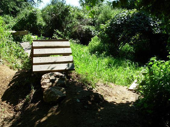 A wooden ramp leading over a rocky area, surrounded by lush green vegetation and tall grass. The scene is illuminated by sunlight filtering through the trees, creating a serene and natural atmosphere. White Clay Creek mountain bike trail.