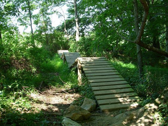 A wooden footbridge spans a lush, green path surrounded by trees and foliage, leading through a peaceful forested area. White Clay Creek mountain bike trail.