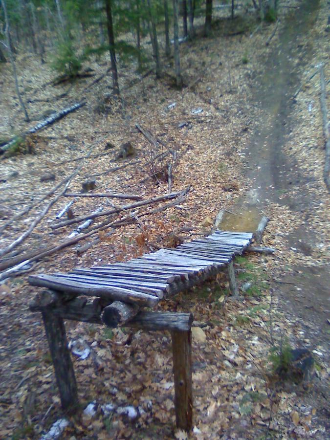 A rustic wooden bridge constructed from logs spans a small gap in a forested area, surrounded by fallen leaves and twigs. A dirt trail runs alongside the bridge, leading deeper into the woods. The scene captures a natural, serene environment with trees in the background. Fox Park mountain bike trail.