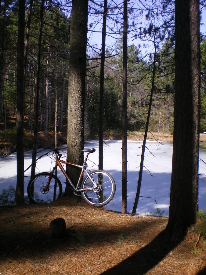 A mountain bike leaned against a tree near a frozen pond, surrounded by tall pine trees in a forest. The scene is bright and clear, with patches of blue sky visible among the branches. Pine needles cover the ground. Saxon Hill mountain bike trail.