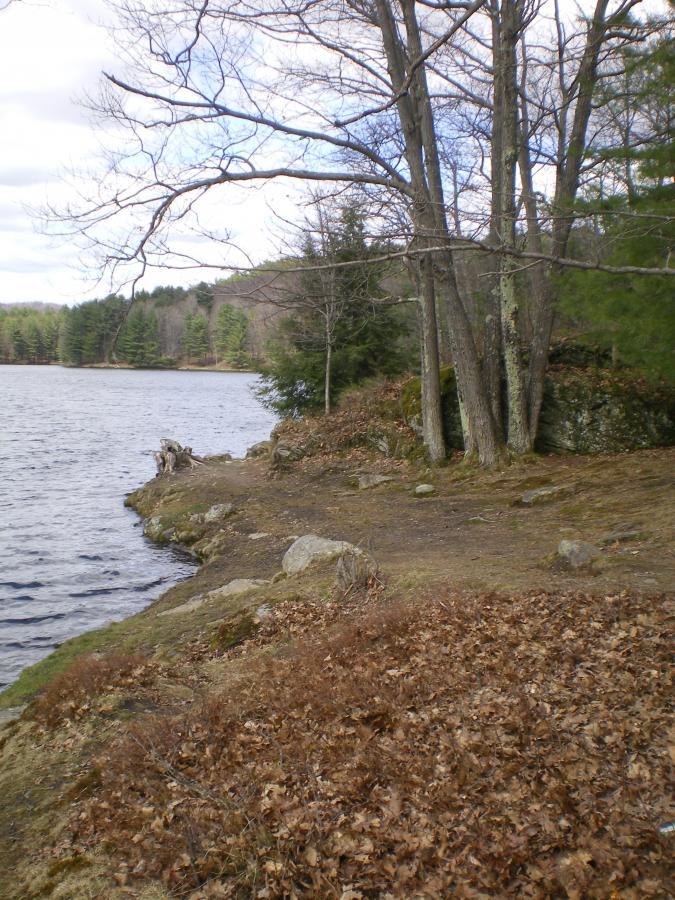 A serene lakeside scene featuring a gently sloping shoreline with rocks and patches of bare earth. Leafless trees and evergreen foliage line the edge, while the water reflects the cloudy sky. Dry leaves are scattered across the ground, suggesting early spring or late autumn. Indian Brook/essex Reservoir mountain bike trail.