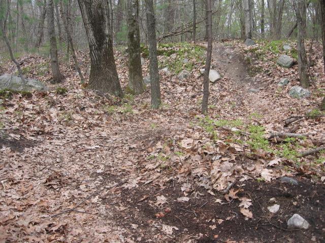A forest path covered with dry leaves, surrounded by trees and scattered rocks, leading uphill through a wooded area. Landlocked Forest mountain bike trail.