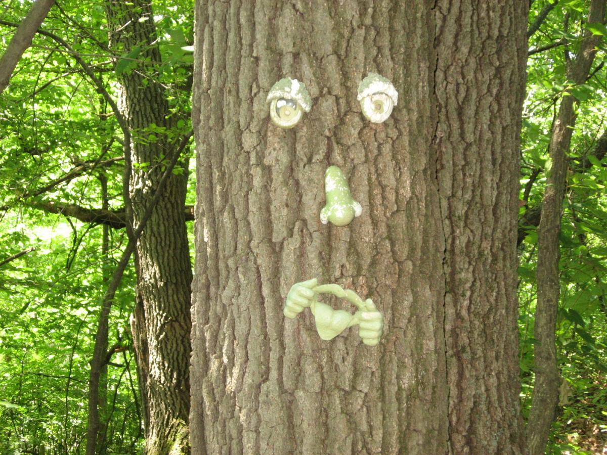 A tree trunk with a whimsical face created from natural elements, featuring round eyes made of small white shells, a green nose, and hands forming a heart shape below the face, set against a backdrop of green foliage. Hixon Forest mountain bike trail.