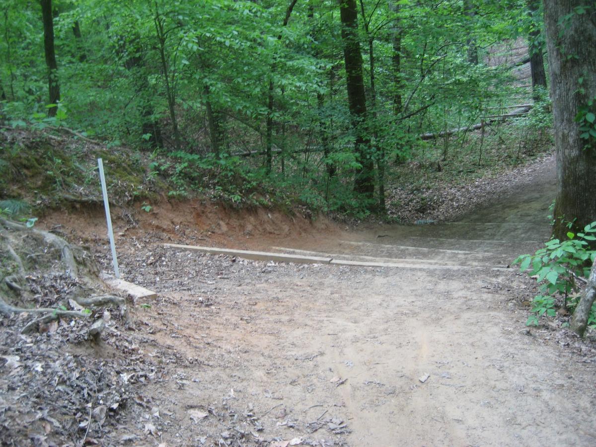 A dirt trail splitting in a wooded area, with lush green foliage on either side. A wooden plank serves as a bridge over a small gap in the path, while a white marker post stands nearby. The soft earth is covered with fallen leaves, indicating a natural and serene outdoor environment. Sope Creek mountain bike trail.