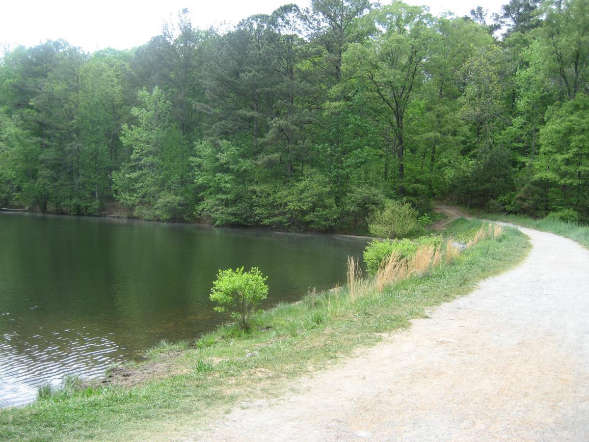 A serene landscape featuring a calm, green-tinted lake surrounded by lush greenery. A winding gravel path runs alongside the water, inviting visitors to explore the natural setting. Trees line the shore, creating a tranquil atmosphere, with hints of sunlight filtering through the leaves. Sope Creek mountain bike trail.