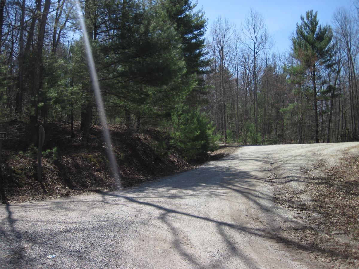 A gravel road splits into two paths surrounded by trees, with a clear sky above and sunlight filtering through the branches. A wooden post with a number is visible on the left side of the image. North Mountain/longdale Loop mountain bike trail.