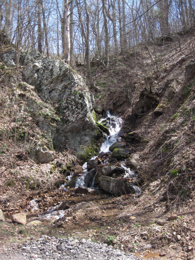A small waterfall cascades down a rocky slope, surrounded by bare trees and sparse vegetation. The water flows over stones and leaves, creating a natural stream that winds through the landscape. Sunlight filters through the branches, illuminating the scene in a serene forest setting. North Mountain/longdale Loop mountain bike trail.