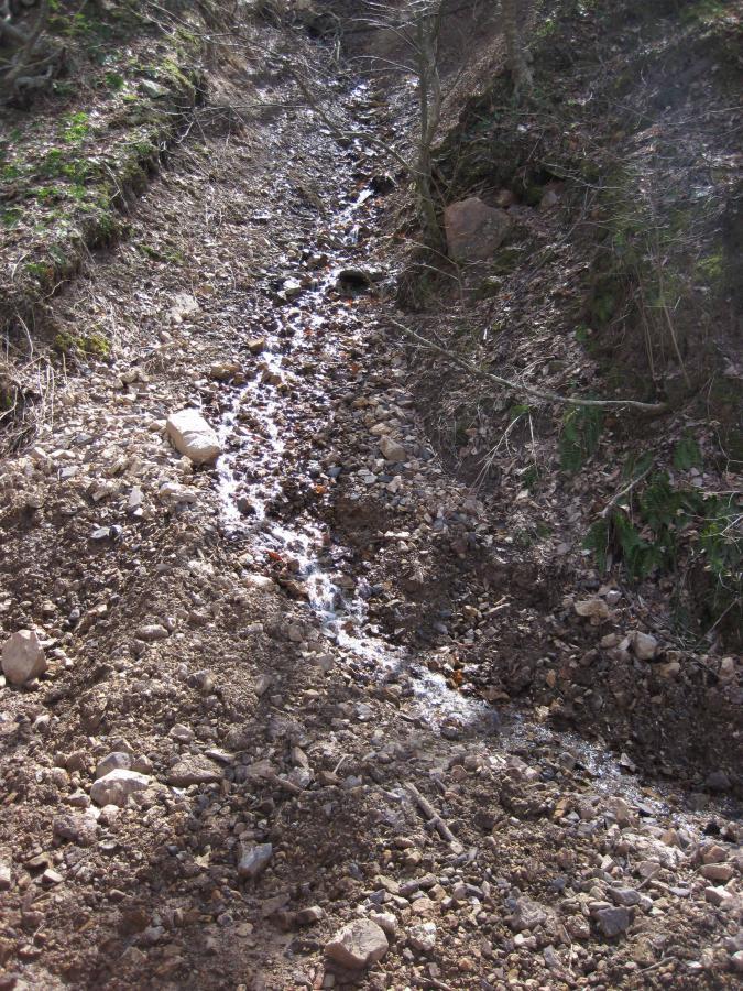 A narrow stream of water flowing through a rocky, uneven landscape with sparse vegetation along the banks. North Mountain/longdale Loop mountain bike trail.
