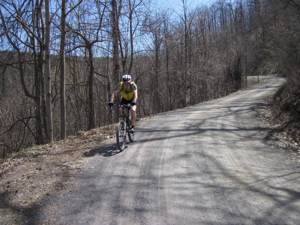 A cyclist riding a mountain bike on a gravel path surrounded by bare trees under a clear blue sky. The terrain appears hilly, suggesting a challenging biking route. North Mountain/longdale Loop mountain bike trail.