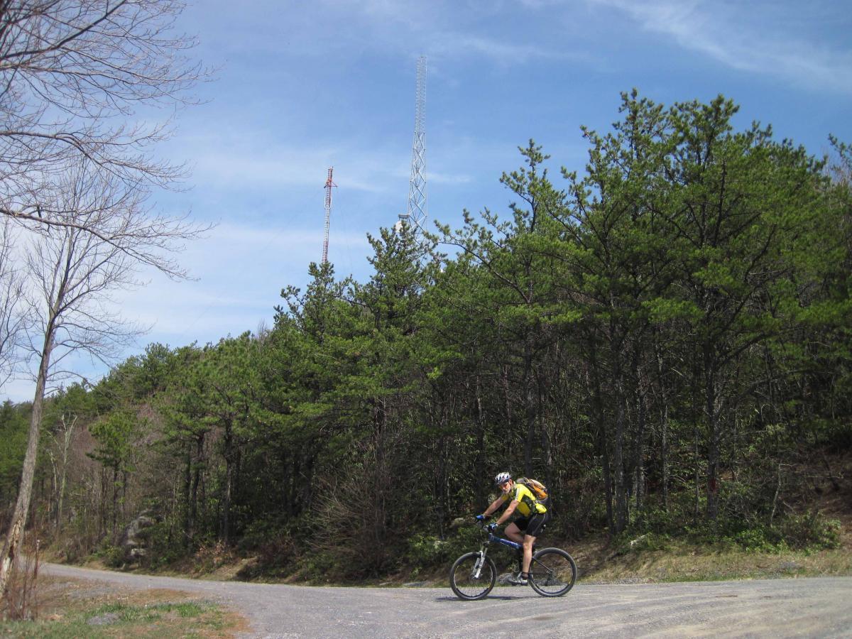 A cyclist rides on a gravel road surrounded by dense green trees under a clear blue sky. In the background, a communication tower rises above the treetops. North Mountain/longdale Loop mountain bike trail.