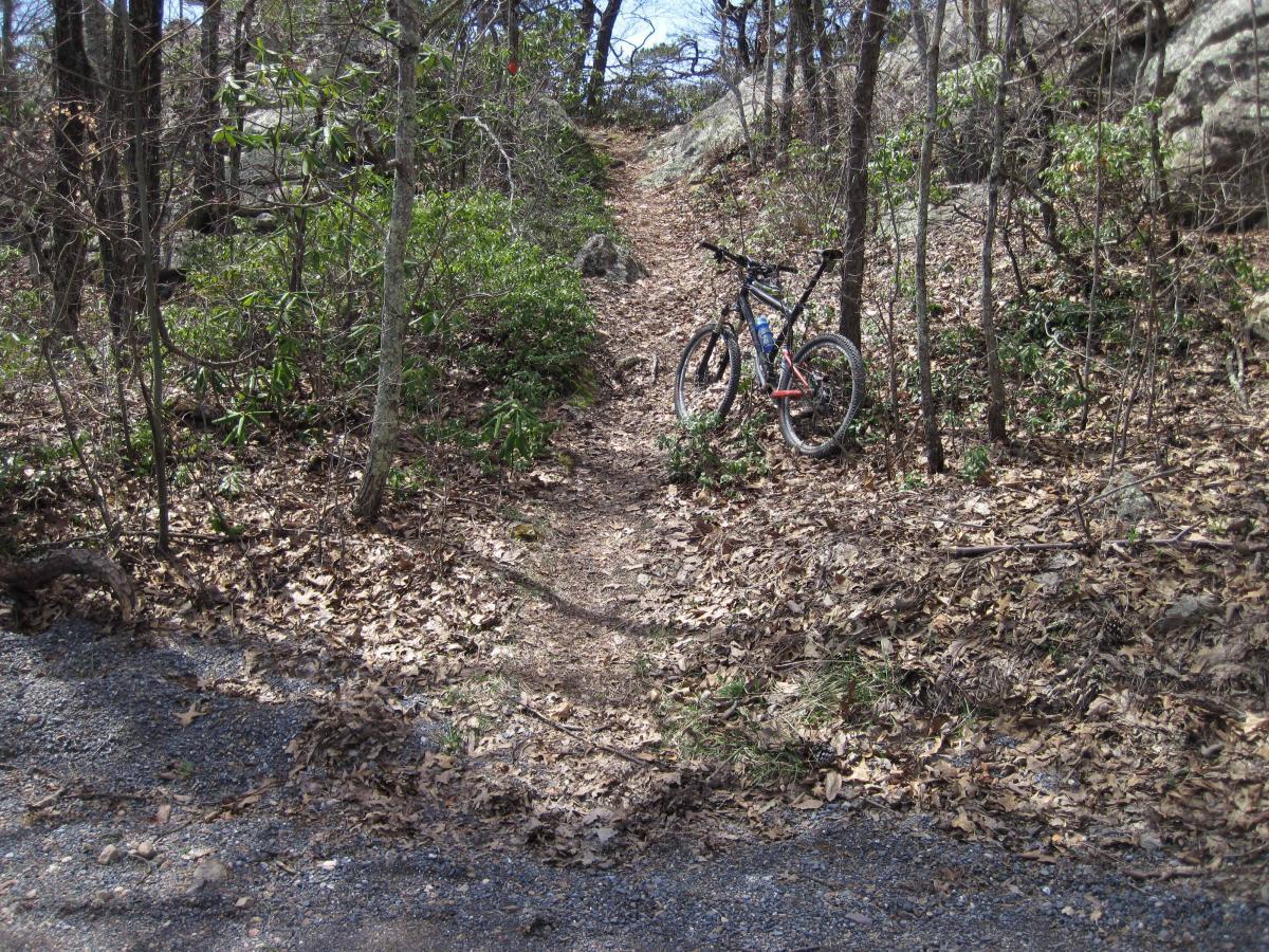 A mountain bike leaning against a tree along a narrow, leaf-covered trail in a wooded area. Rocks and greenery are visible in the background, indicating a natural setting for outdoor activities. North Mountain/longdale Loop mountain bike trail.