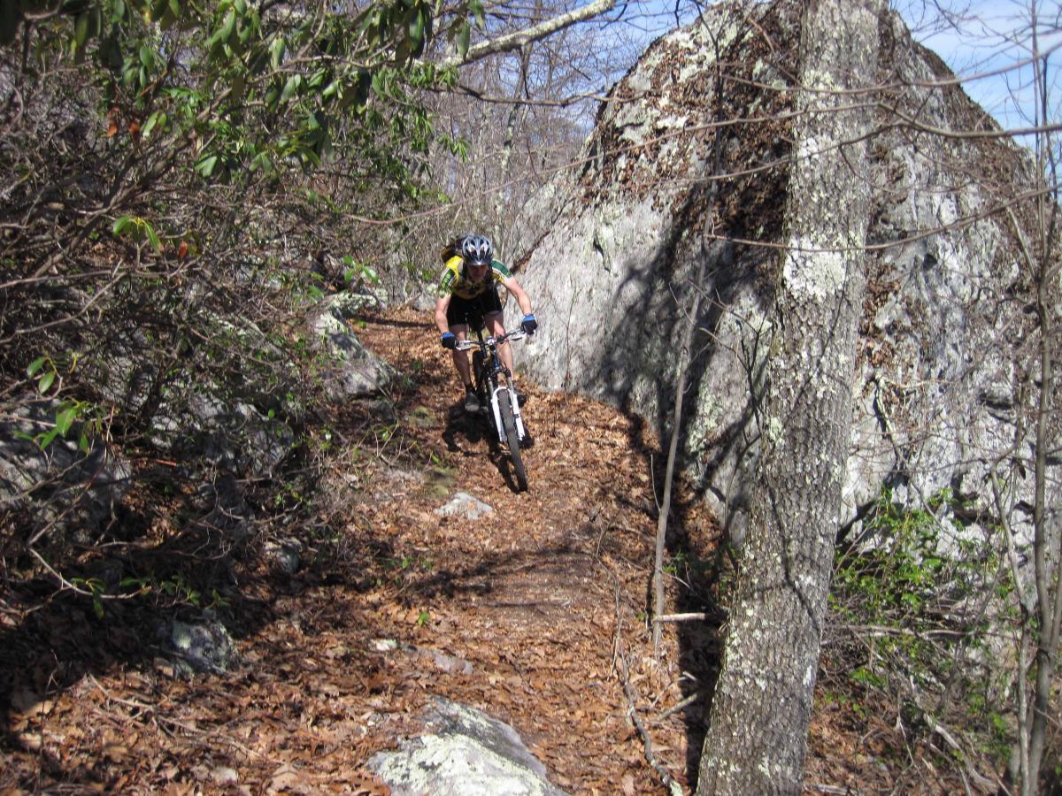 A mountain biker navigating a narrow, leaf-covered trail surrounded by rocks and trees on a sunny day. North Mountain/longdale Loop mountain bike trail.