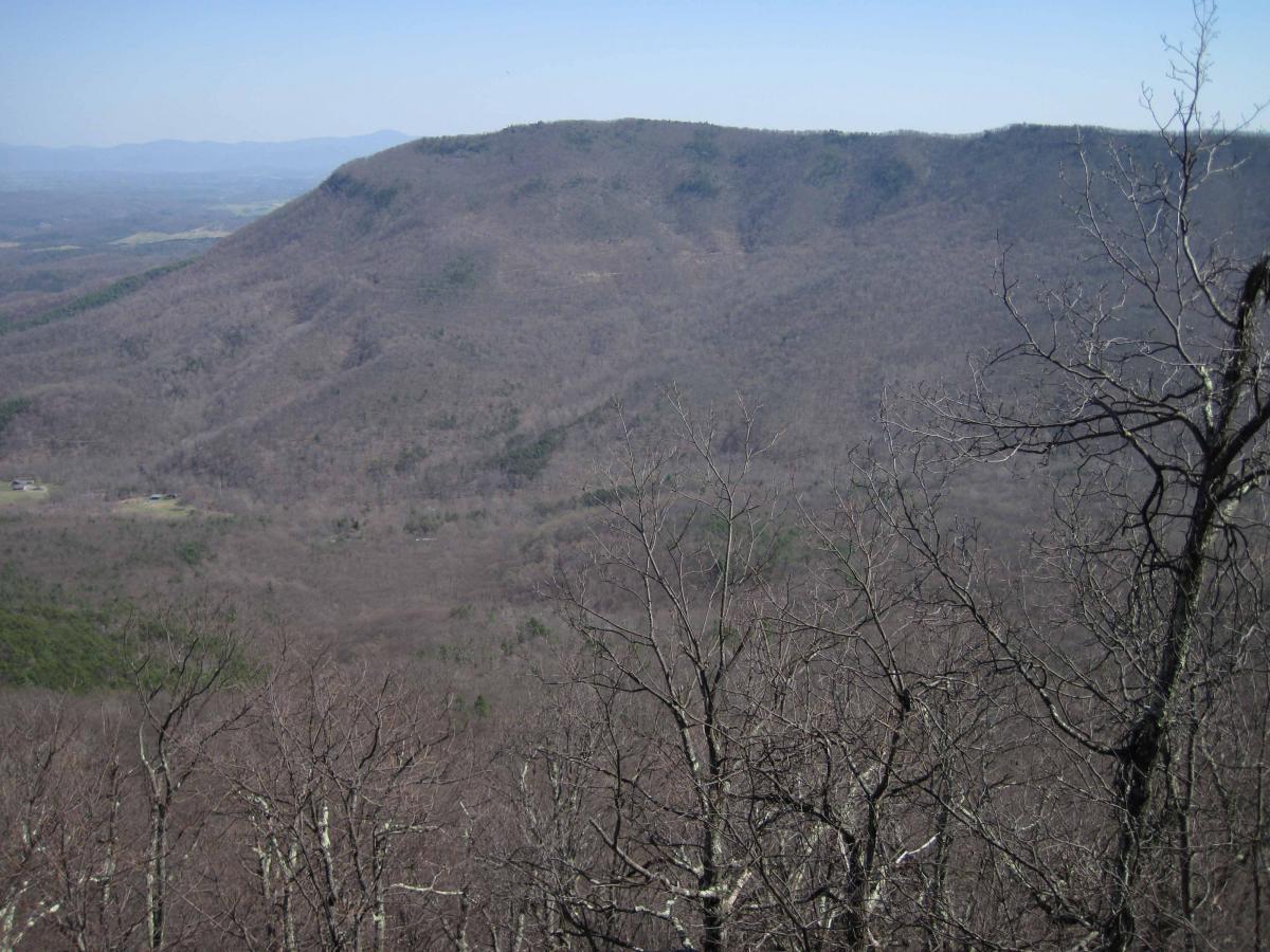 A panoramic view of a mountainous landscape featuring a prominent, flat-topped mountain in the background. The foreground shows a wooded area with bare trees, indicating a late winter or early spring season. The distant hills and valleys are visible, with a clear blue sky above. North Mountain/longdale Loop mountain bike trail.