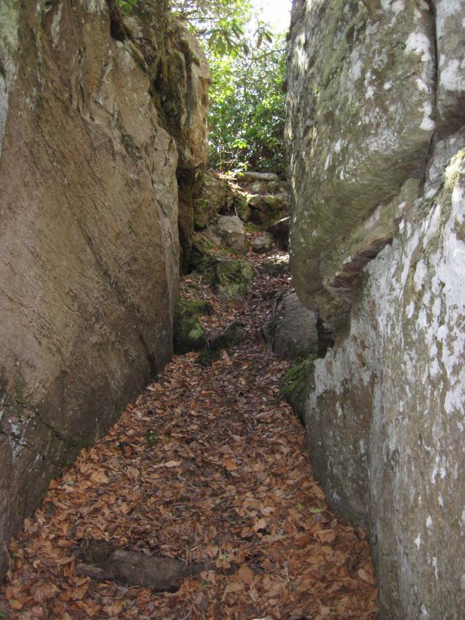 A narrow rocky pathway surrounded by tall, moss-covered stone walls, with a visible trail covered in fallen leaves leading towards a bright area at the end. Lush green foliage is seen above in the sunlight. North Mountain/longdale Loop mountain bike trail.