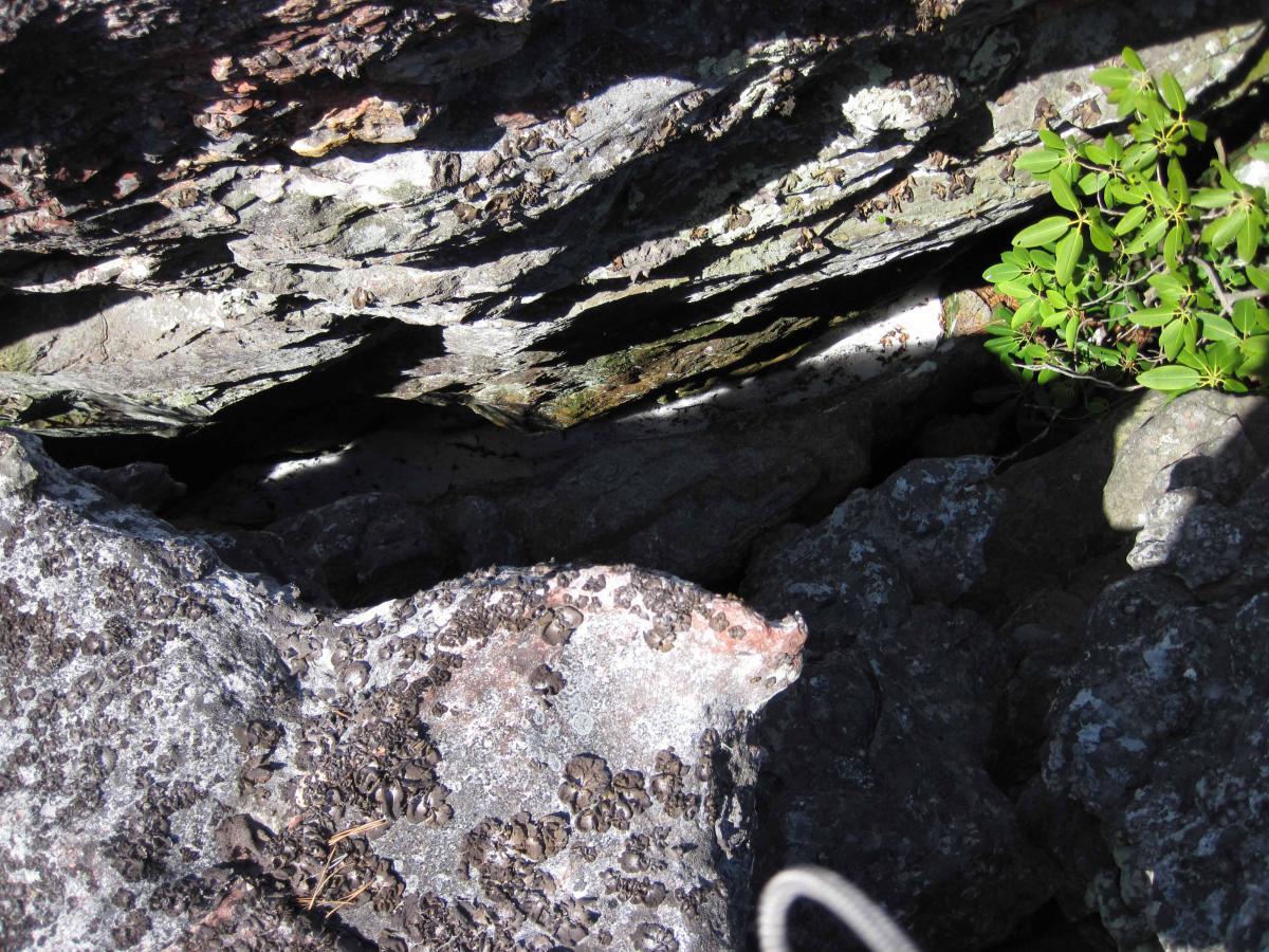 Rocky terrain featuring textured stone surfaces with a mix of light and shadow. The image shows various shades of gray and brown rock, some with lichen and a few small plants growing between the rocks. The scene captures the ruggedness of natural geological formations. North Mountain/longdale Loop mountain bike trail.