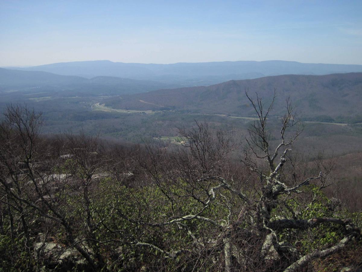 A panoramic view of rolling mountains under a clear blue sky, featuring bare trees and rocky outcrops in the foreground. A winding road can be seen in the valley below, surrounded by lush greenery and distant hills. North Mountain/longdale Loop mountain bike trail.