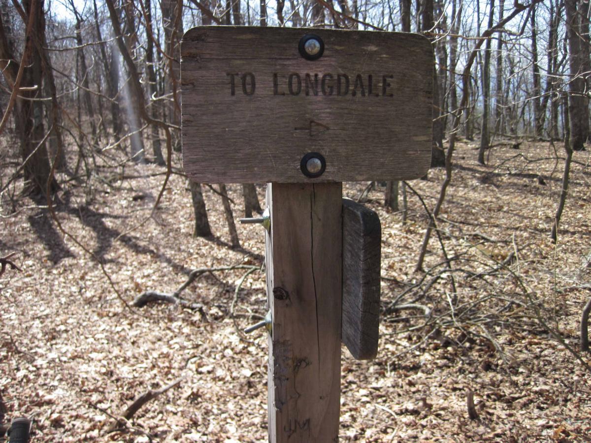 Wooden trail sign indicating direction to Longdale, set in a forest with bare trees and leaf-covered ground. North Mountain/longdale Loop mountain bike trail.