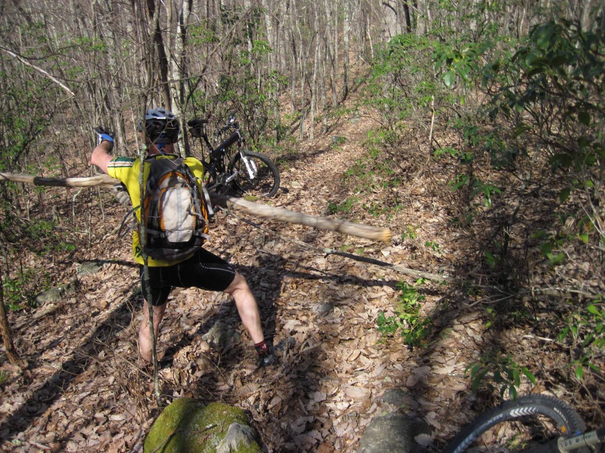 A mountain biker navigating a wooded trail, lifting a fallen branch while balancing on uneven terrain. A mountain bike is visible in the background, and the ground is covered with leaves and small rocks. The scene is set in a sunny forest environment. North Mountain/longdale Loop mountain bike trail.