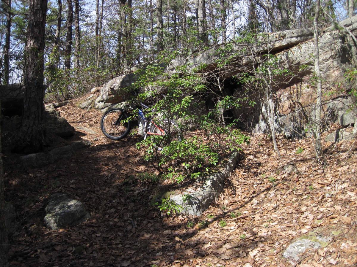 A mountain bike resting on the ground surrounded by a wooded area with rocks and leaves, near a rocky outcrop and vegetation. North Mountain/longdale Loop mountain bike trail.