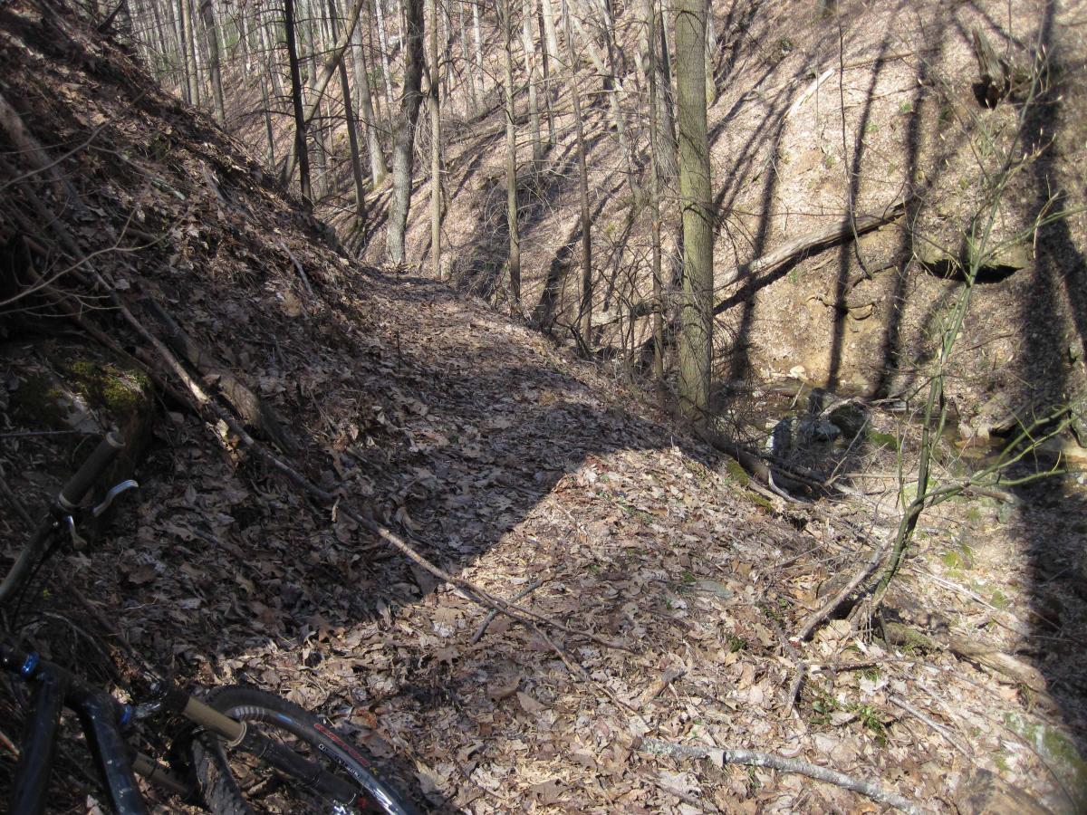 A narrow, leaf-strewn pathway winding through a wooded area with bare trees. The ground is covered in fallen leaves, and there are rocks and branches scattered along the trail. In the foreground, part of a bicycle is visible, resting on the ground. The setting suggests a serene, natural environment ideal for hiking or biking. North Mountain/longdale Loop mountain bike trail.