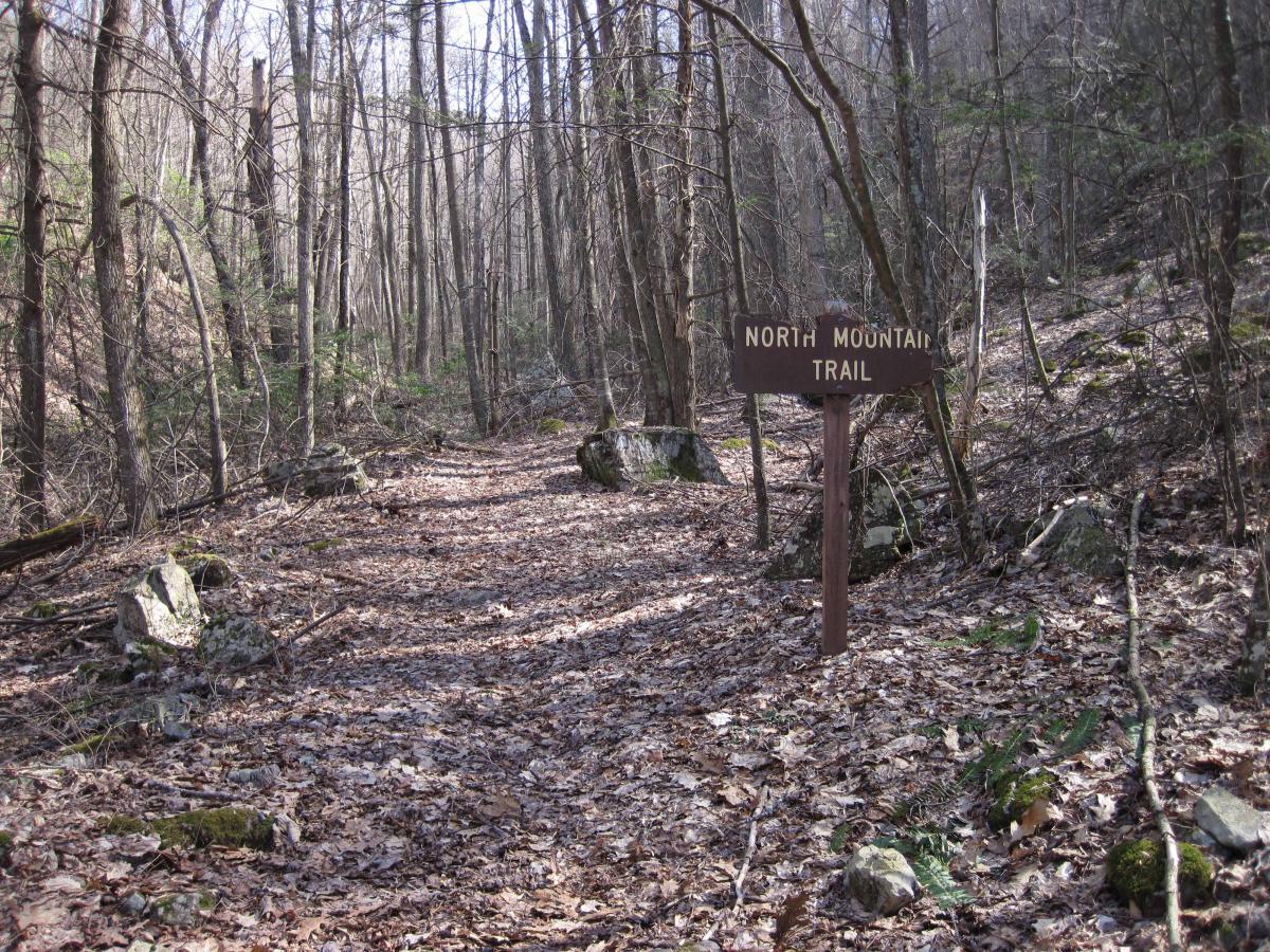 A dirt pathway winding through a wooded area, with tall trees lining both sides. A wooden sign marked "North Mountain Trail" stands prominently on the right side of the trail. The ground is covered with a layer of fallen leaves and scattered rocks, indicating a natural, serene environment. North Mountain/longdale Loop mountain bike trail.