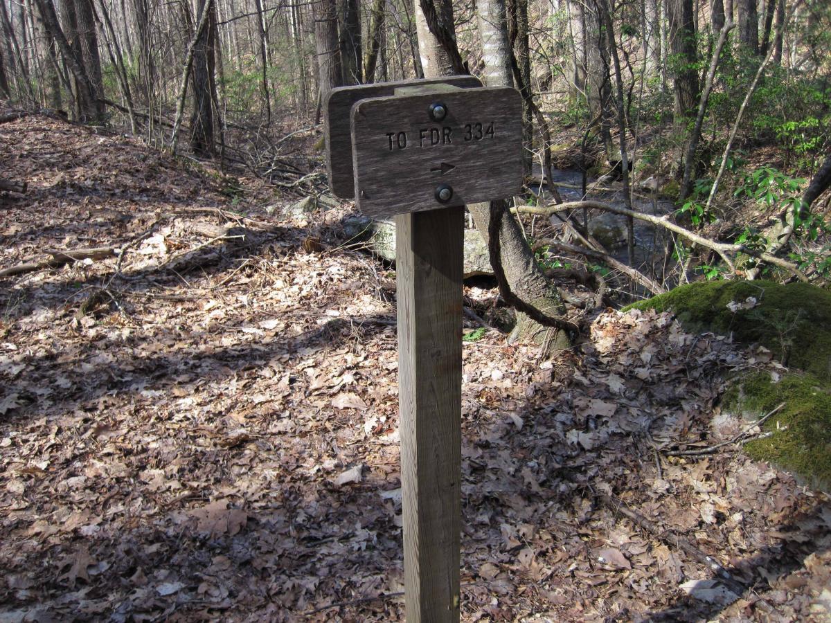 Wooden trail sign in a forest, directing to FDR 334, surrounded by fallen leaves and trees. North Mountain/longdale Loop mountain bike trail.