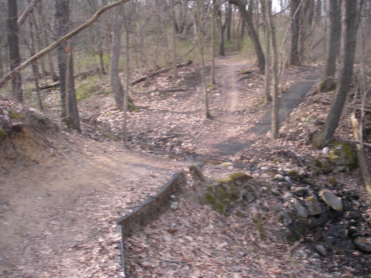 A forest trail with two diverging paths surrounded by trees. The left path is dirt and slightly elevated, while the right path is a flat, paved surface. There is a small stream or creek lined with rocks on the right side, and fallen leaves cover the ground. The scene is set in a natural wooded environment. Fort Custer Recreation Area mountain bike trail.