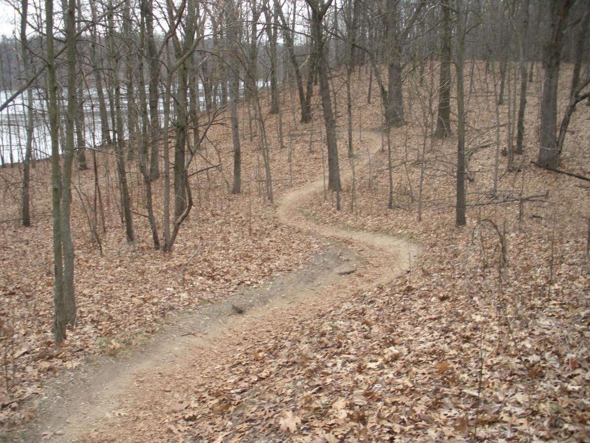 A winding dirt trail surrounded by bare trees and fallen leaves, leading towards a body of water in the background, under a cloudy sky. Fort Custer Recreation Area mountain bike trail.