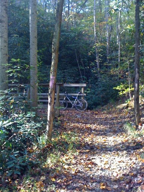 A narrow forest trail covered with fallen leaves, leading to a wooden bridge. A bicycle is parked next to the bridge, surrounded by tall trees and dense greenery. The scene is illuminated by soft, natural light filtering through the foliage. Brush Creek mountain bike trail.