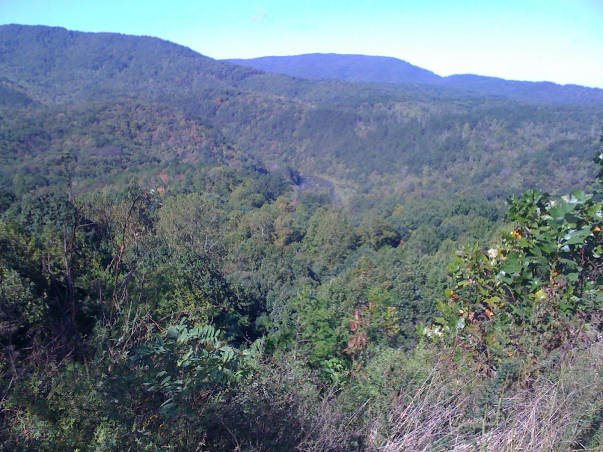 A panoramic view of lush green mountains with varying elevations under a clear blue sky. The landscape features dense forests and a valley visible in the distance, creating a serene and natural environment. Brush Creek mountain bike trail.
