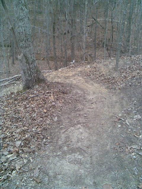 A winding dirt path through a wooded area, surrounded by bare trees and fallen leaves, leading into the distance. The ground appears dry and slightly uneven. Mt Tabor Park mountain bike trail.