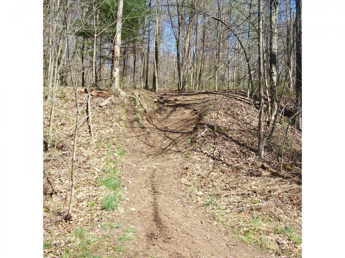 A dirt trail winding through a wooded area, surrounded by trees and sparse underbrush, under a clear blue sky. The path has a noticeable incline and is lined with leaves and grass. Great Bear mountain bike trail.