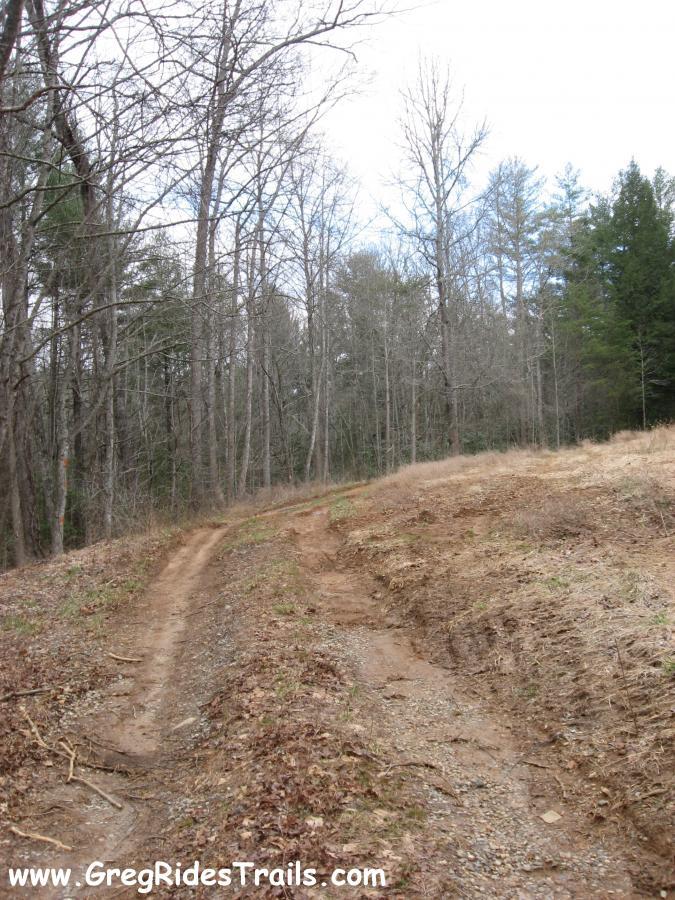 A winding dirt path through a forested area with bare trees and patches of grass. The trail splits into two directions, surrounded by earthy tones and a cloudy sky overhead. Montgomery Creek Trail mountain bike trail.